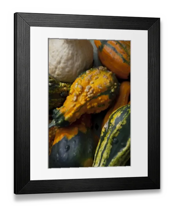 Framed Print : Europe, Germany Framed Print : Europe, Germany