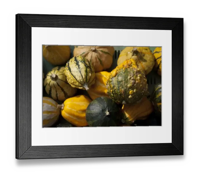 Framed Print : Europe, Germany Framed Print : Europe, Germany