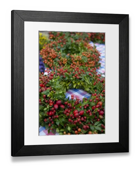 Framed Print : Germany, Bavaria, Passau. Open-air farmers market, green & berry wreaths
