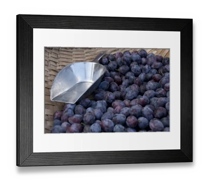 Framed Print : Germany, Bavaria, Passau. Open-air farmers market, ripe plums with scoop