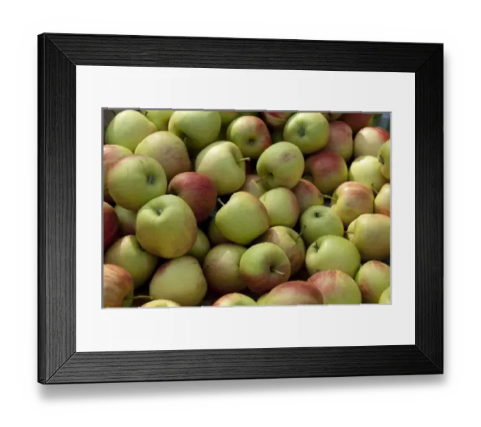 Framed Print : Europe, Germany Framed Print : Europe, Germany