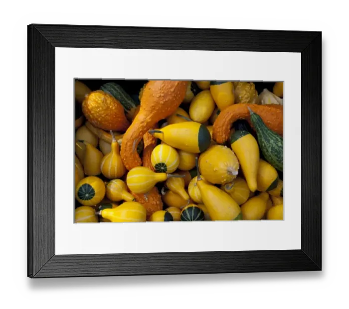 Framed Print : Europe, Germany Framed Print : Europe, Germany