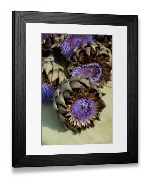 Framed Print : Germany, Bavaria, Passau. Open-air farmers market. Ornimental artichoke flower