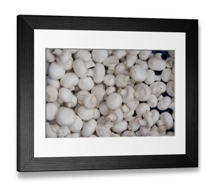 Framed Print : Germany, Bavaria, Passau. Open-air farmers market, mushrooms