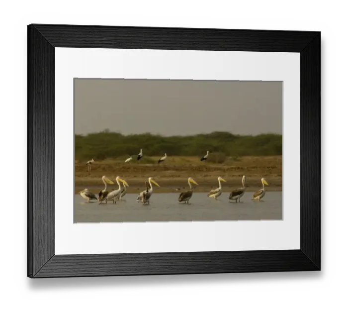 Framed Print : Asia, India