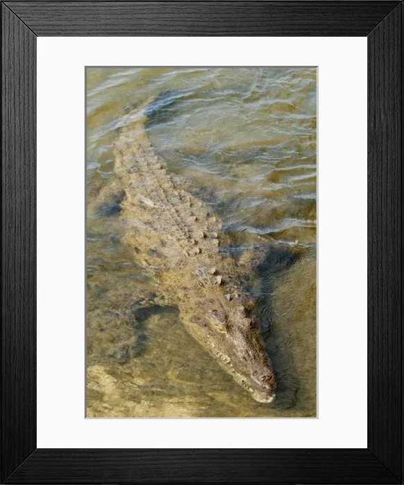Framed Print : North America, Mexico Framed Print : North America, Mexico
