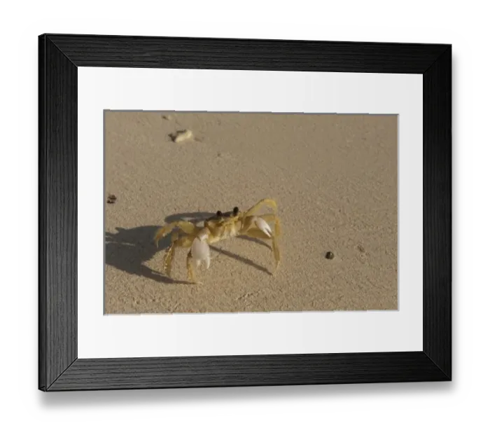 Framed Print : North America, Mexico Framed Print : North America, Mexico