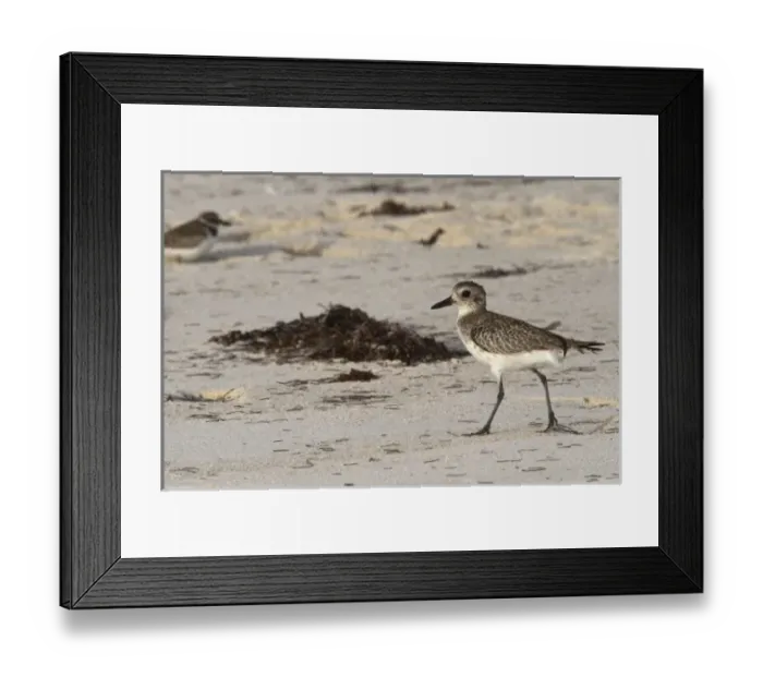 Framed Print : North America, Mexico Framed Print : North America, Mexico