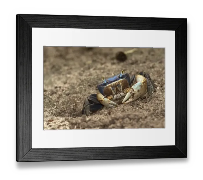 Framed Print : North America, Mexico Framed Print : North America, Mexico