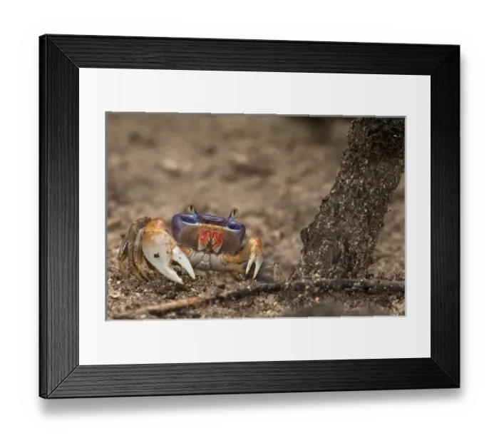 Framed Print : North America, Mexico