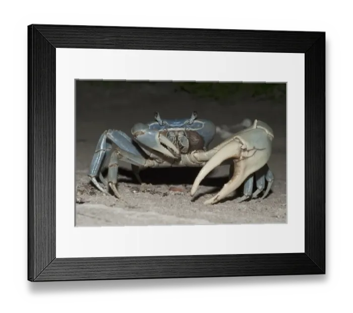 Framed Print : North America, Mexico Framed Print : North America, Mexico