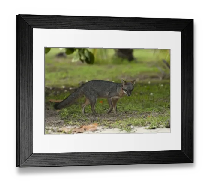 Framed Print : North America, Mexico