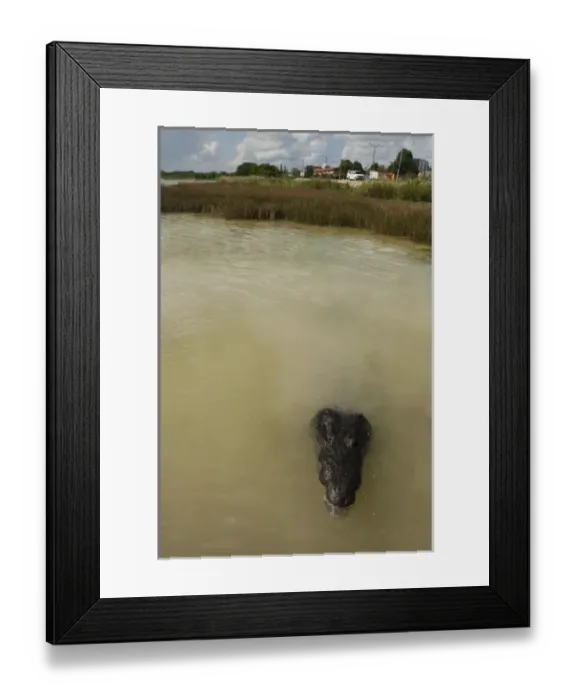 Framed Print : North America, Mexico Framed Print : North America, Mexico