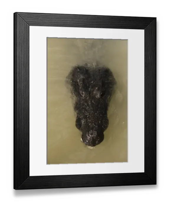 Framed Print : North America, Mexico