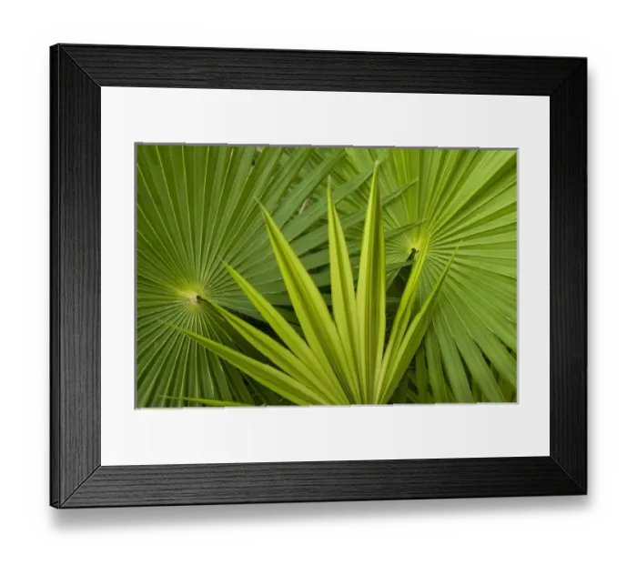 Framed Print : North America, Mexico