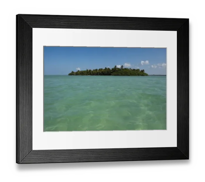 Framed Print : Red Mangrove (Rhizophora mangle) Island, Punta Allen, Sian Ka an Biosphere Reserve Framed Print : Red Mangrove (Rhizophora mangle) Island, Punta Allen, Sian Ka an Biosphere Reserve
