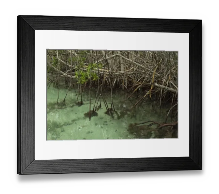 Framed Print : North America, Mexico