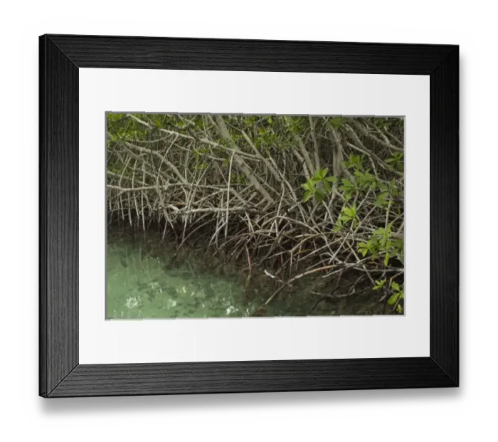 Framed Print : North America, Mexico Framed Print : North America, Mexico