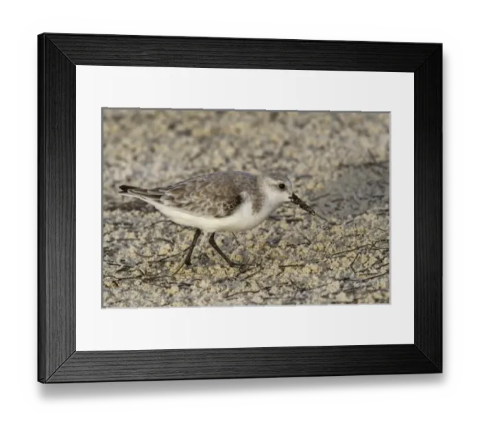 Framed Print : North America, Mexico Framed Print : North America, Mexico