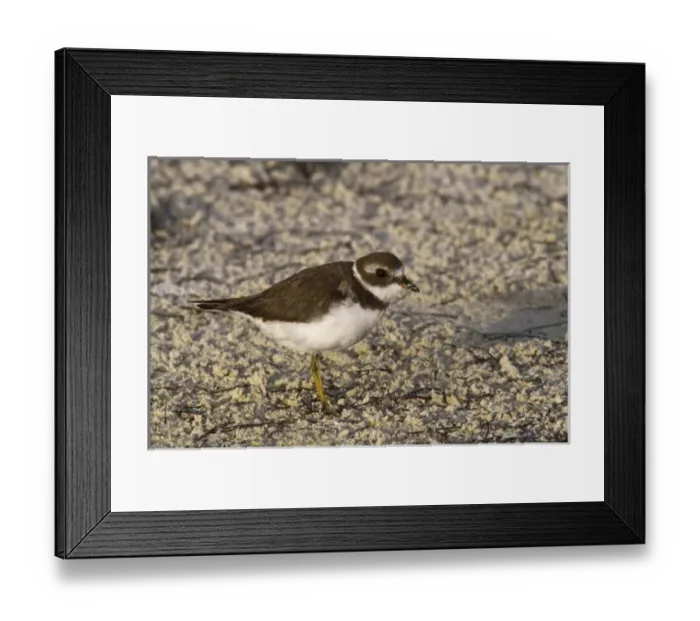 Framed Print : North America, Mexico