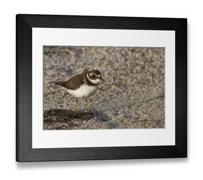 Framed Print : North America, Mexico Framed Print : North America, Mexico