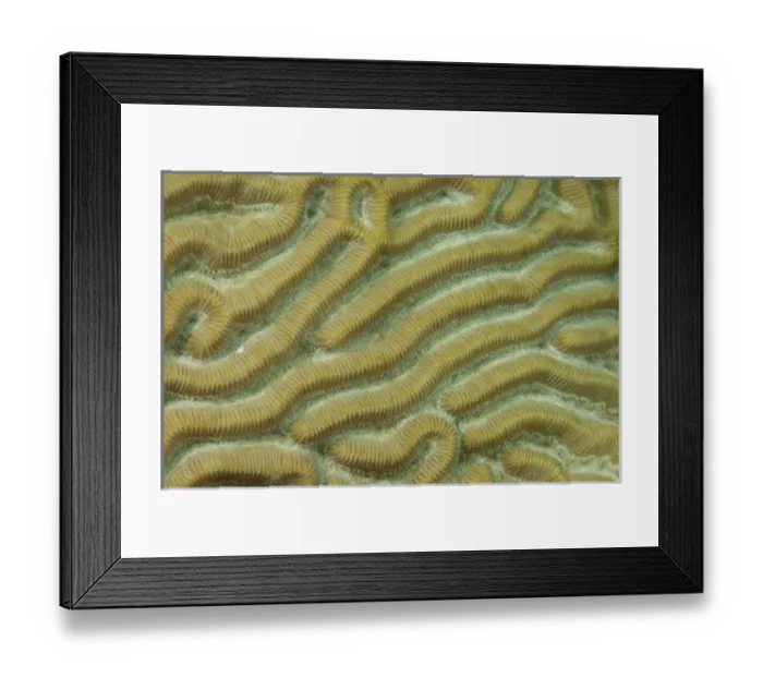 Framed Print : North America, Mexico Framed Print : North America, Mexico