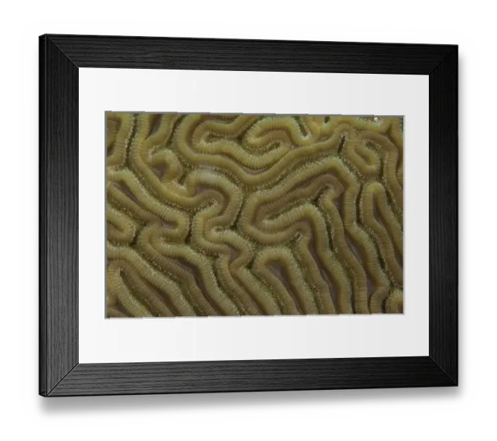 Framed Print : North America, Mexico Framed Print : North America, Mexico