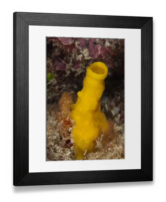 Framed Print : North America, Mexico Framed Print : North America, Mexico