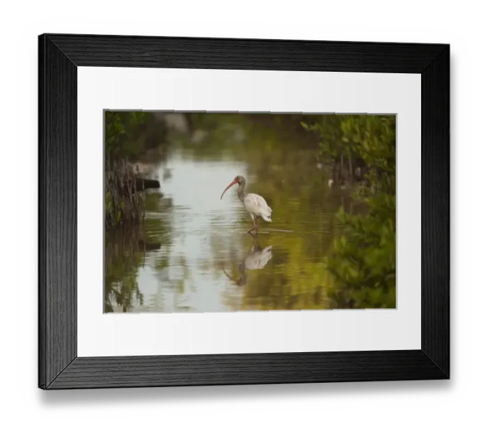 Framed Print : North America, Mexico