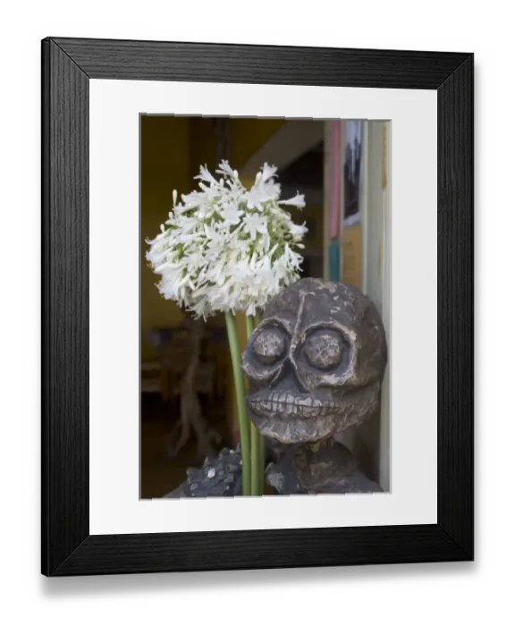 Framed Print : Mexico, Oaxaca, Skull of Day of the Dead skeleton adorned with white flowers at restaurant Framed Print : Mexico, Oaxaca, Skull of Day of the Dead skeleton adorned with white flowers at restaurant