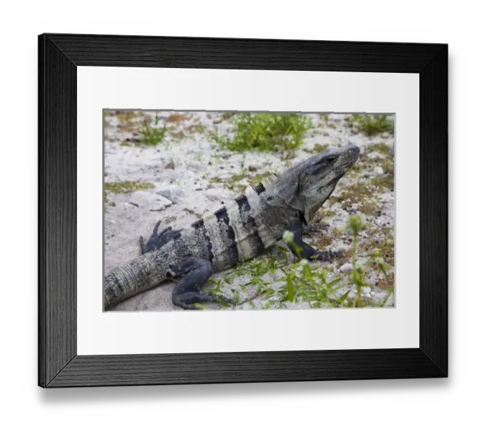Framed Print : North America, Mexico