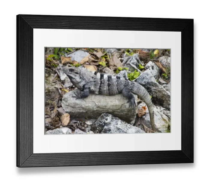 Framed Print : North America, Mexico Framed Print : North America, Mexico
