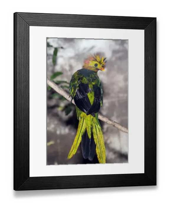 Framed Print : North America, Mexico Framed Print : North America, Mexico