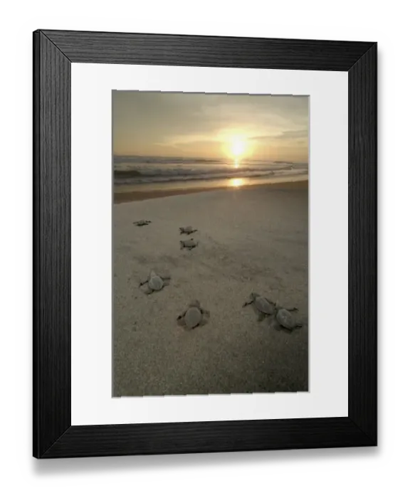 Framed Print : North America, Mexico Framed Print : North America, Mexico