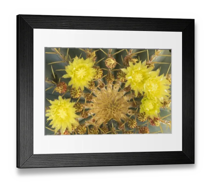 Framed Print : North America, Mexico Framed Print : North America, Mexico