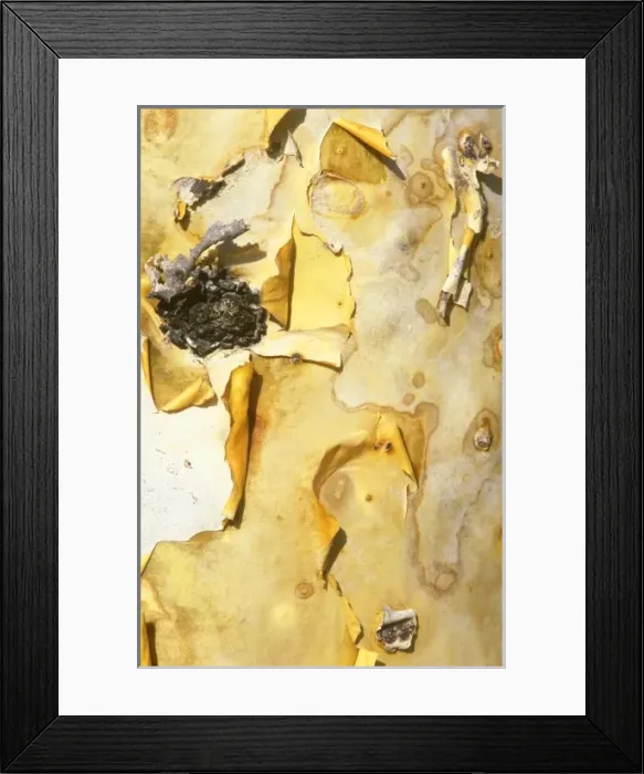 Framed Print : North America, Mexico