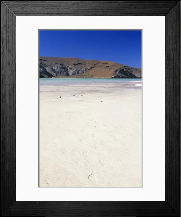 Framed Print : Mexico, Baja California Sur, La Paz, Playa Balandra, Footprints on Beach Framed Print : Mexico, Baja California Sur, La Paz, Playa Balandra, Footprints on Beach
