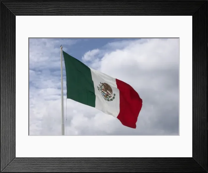 Framed Print : Mexico, Cozumel, San Miguel, Mexican Flag