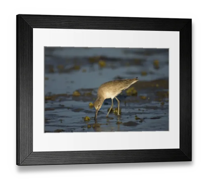 Framed Print : North America, Mexico Framed Print : North America, Mexico