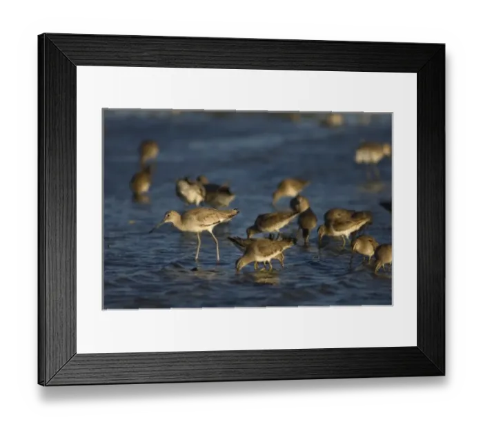 Framed Print : North America, Mexico