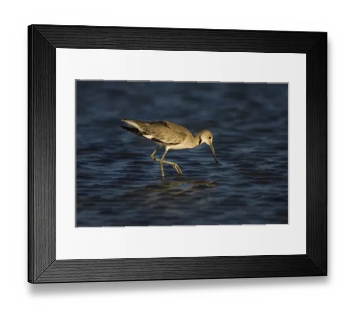 Framed Print : North America, Mexico