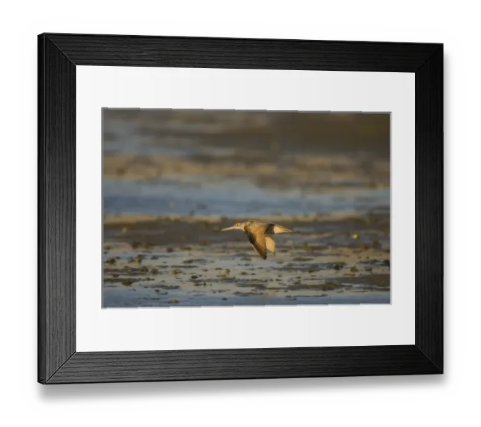 Framed Print : North America, Mexico