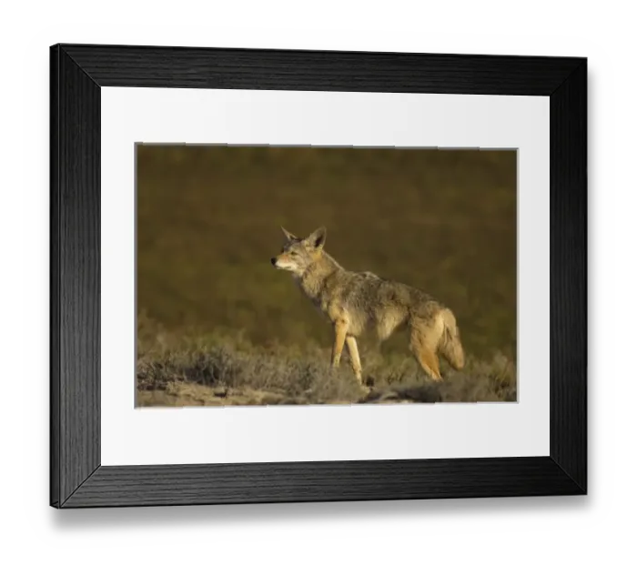 Framed Print : North America, Mexico Framed Print : North America, Mexico