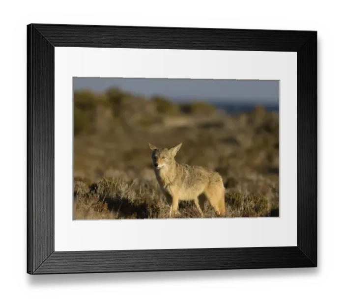 Framed Print : North America, Mexico