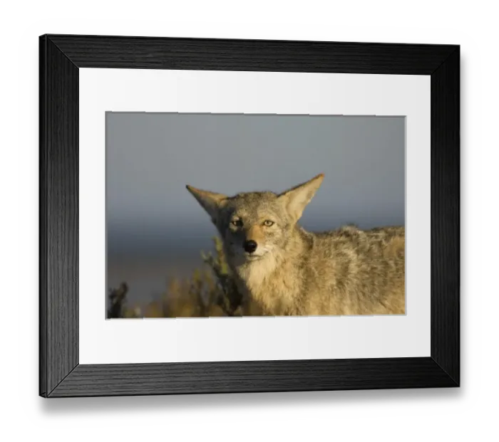 Framed Print : North America, Mexico Framed Print : North America, Mexico