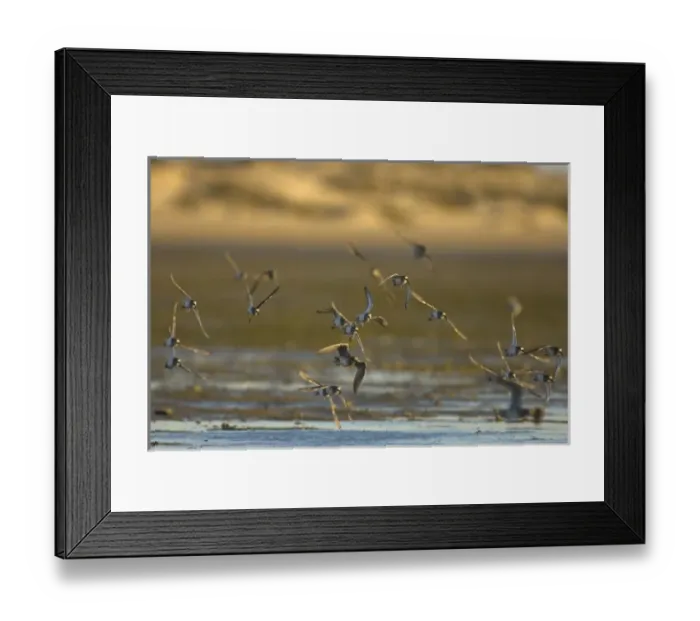 Framed Print : North America, Mexico Framed Print : North America, Mexico