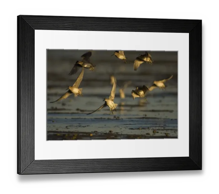 Framed Print : North America, Mexico Framed Print : North America, Mexico