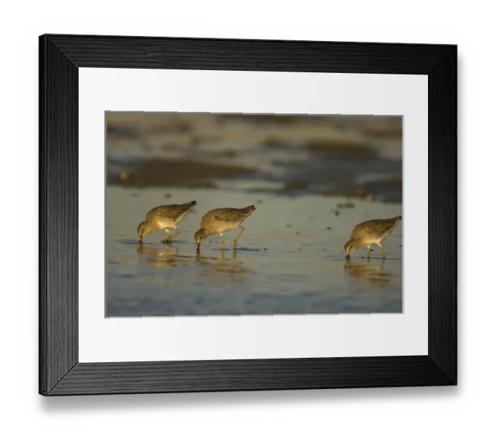 Framed Print : North America, Mexico