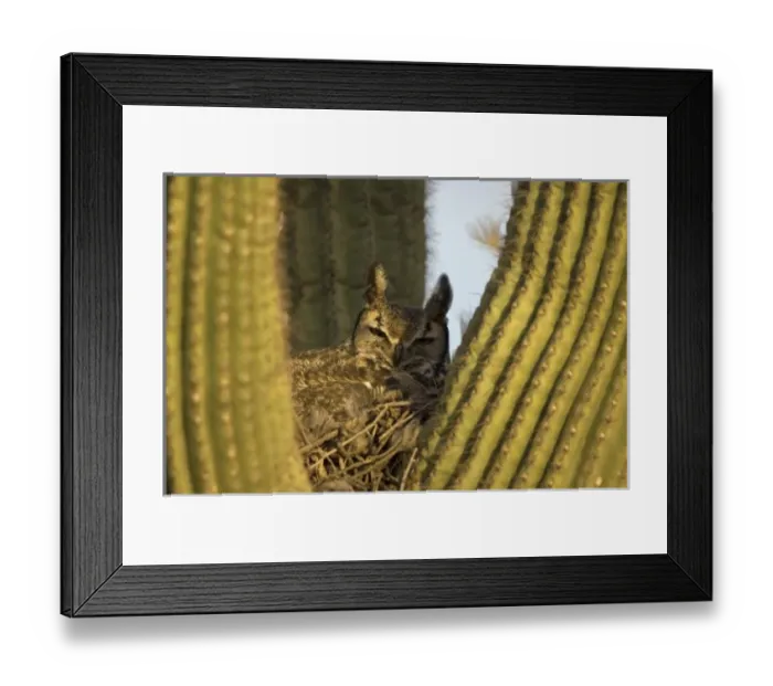 Framed Print : North America, Mexico Framed Print : North America, Mexico
