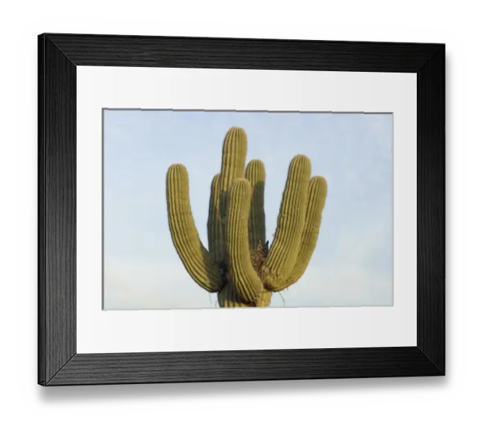 Framed Print : North America, Mexico Framed Print : North America, Mexico